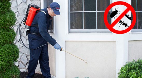 Soğukkuyu Böcek ve Haşere İlaçlama böcek ilaçlama ve haşere kontrolü — ilaclama-tr.com